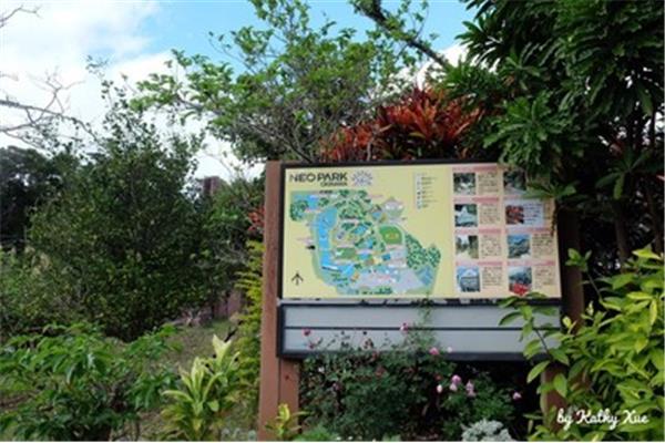 沖繩名護自然動植物公園