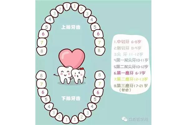 兒童牙齒換牙