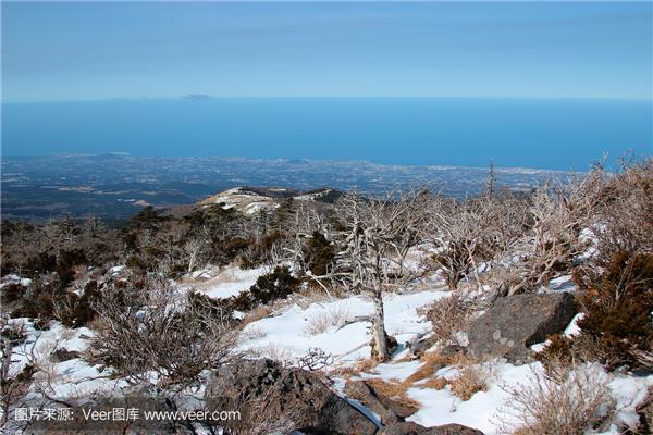 济州岛冬天景点