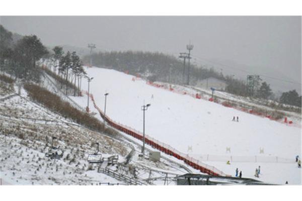 韓國滑雪教練費用