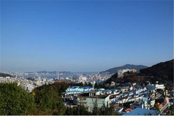 永康花釜山游玩简介,韩国釜山的一个旅游景点