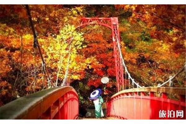 赏枫的最佳时间是日本北海道好玩吗?