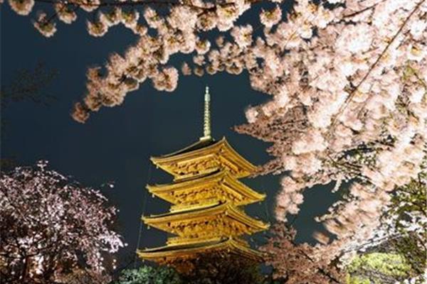 需要東京景點的門票嗎?你需要東京宮的票嗎?