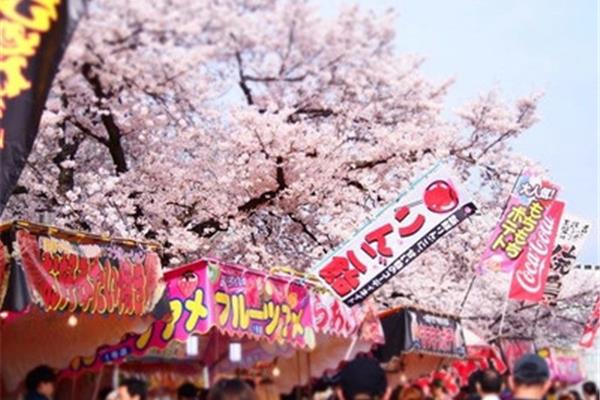 4月首尔赏樱景点推荐,日本京都樱花观赏点